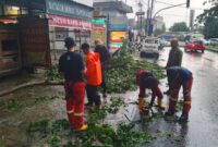 Petugas Trantib Kecamatan Larangan bersama Damkar UPT Ciledug gerak cepat tangani pohon tumbang di Jl. HOS Cokroaminoto, kawasan Puribeta 2, Kelurahan Larangan Utara, Kecamatan Larangan, Kota Tangerang. Sumber : Kecamatan Larangan