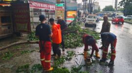 Petugas Trantib Kecamatan Larangan bersama Damkar UPT Ciledug gerak cepat tangani pohon tumbang di Jl. HOS Cokroaminoto, kawasan Puribeta 2, Kelurahan Larangan Utara, Kecamatan Larangan, Kota Tangerang. Sumber : Kecamatan Larangan