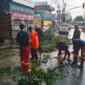 Petugas Trantib Kecamatan Larangan bersama Damkar UPT Ciledug gerak cepat tangani pohon tumbang di Jl. HOS Cokroaminoto, kawasan Puribeta 2, Kelurahan Larangan Utara, Kecamatan Larangan, Kota Tangerang. Sumber : Kecamatan Larangan