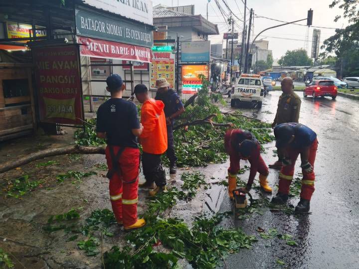 Petugas Trantib Kecamatan Larangan bersama Damkar UPT Ciledug gerak cepat tangani pohon tumbang di Jl. HOS Cokroaminoto, kawasan Puribeta 2, Kelurahan Larangan Utara, Kecamatan Larangan, Kota Tangerang. Sumber : Kecamatan Larangan