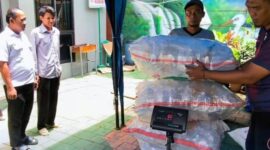 Lewat DARMAPALA, Kecamatan Cibodas Gerakkan Warga Kelola Sampah Bernilai Ekonomi.