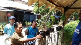 Peringati Hari Bumi, DLH Kota Tangerang Dorong Gerakan Tanam Pohon di Masyarakat