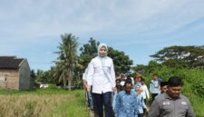 Serap Aspirasi Petani, Bupati Serang Bakal Perbaiki Saluran Irigasi di Tirtayasa