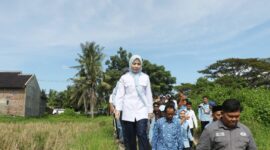 Serap Aspirasi Petani, Bupati Serang Bakal Perbaiki Saluran Irigasi di Tirtayasa