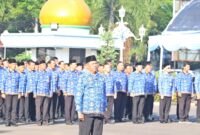 Hari Otonomi Daerah ke-30, Sekda Zaldi Dukung Pencapaian Asta Cita Presiden