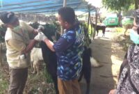 DKP Kota Tangerang Siagakan Ratusan Petugas untuk Awasi Pelaksanaan Kurban