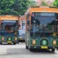 Rayakan Iduladha 1447H, Pemkot Tangerang Gratiskan Bus Tayo dan Si Benteng 