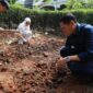 UMB dan KWT Cempaka Asri Kembangkan Pertanian Urban Berbasis Smart Rain Garden