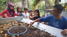 Kampung Darling Perkuat Program ProKlim Melalui Edukasi Maggot untuk Anak-anak