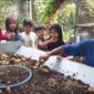 Kampung Darling Perkuat Program ProKlim Melalui Edukasi Maggot untuk Anak-anak