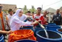 Darurat Kekeringan Akibat El Nino, Bupati Serang Ratu Zakiyah Salurkan Air Bersih dan Bantuan Pangan