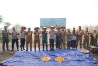 Panen Jagung Kuartal III, Pemkot Tangerang Perkuat Ketahanan Pangan Menuju Swasembada 2026