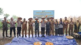 Panen Jagung Kuartal III, Pemkot Tangerang Perkuat Ketahanan Pangan Menuju Swasembada 2026