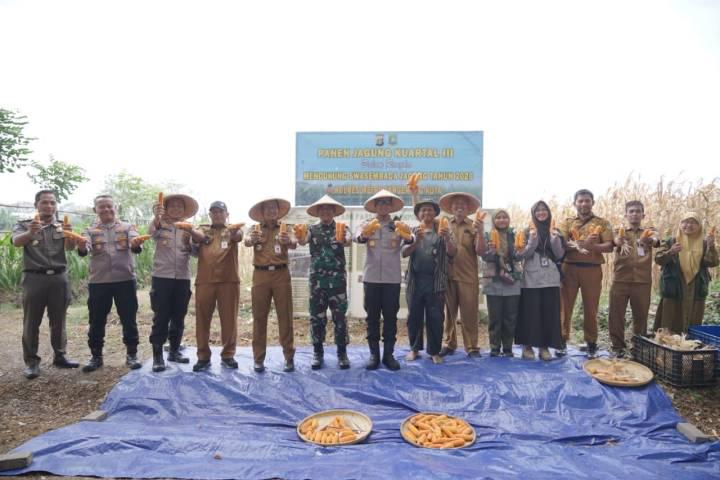 Panen Jagung Kuartal III, Pemkot Tangerang Perkuat Ketahanan Pangan Menuju Swasembada 2026