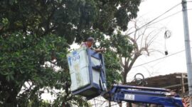 Dishub Kota Tangerang Gerak Cepat Tangani Kabel PJU Putus di Jalan M. Toha